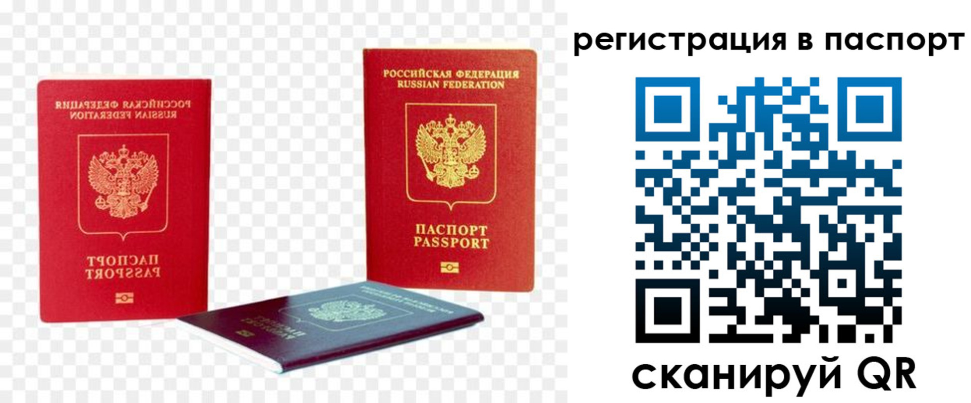 временная регистрация поиск в Донецке
